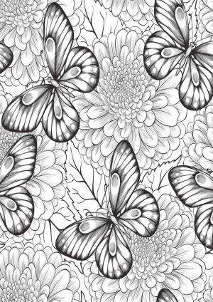 Раскраска с бабочками
